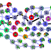 DNA mismatch repair